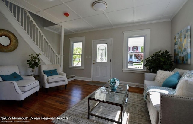 living room featuring dark wood-type flooring