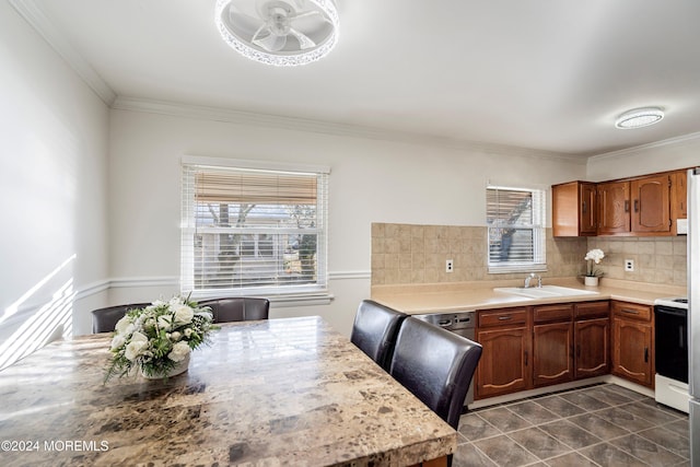 kitchen with range, ornamental molding, a healthy amount of sunlight, and sink