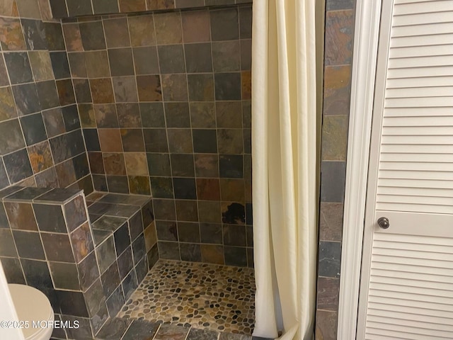 bathroom with walk in shower and toilet