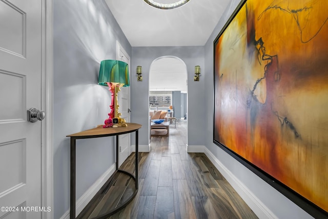 hall featuring dark hardwood / wood-style floors