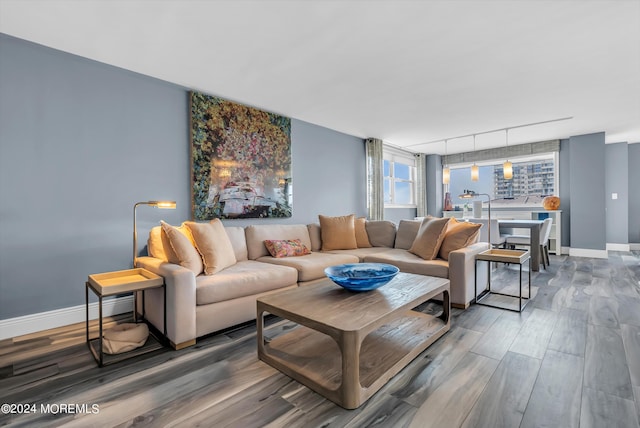 living room with hardwood / wood-style floors and rail lighting