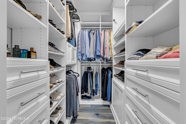 view of walk in closet