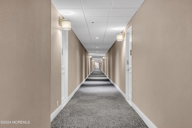 hallway featuring a paneled ceiling and carpet flooring