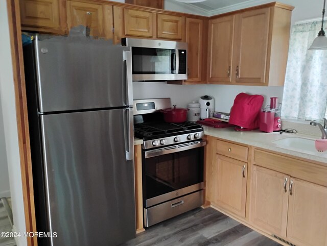 kitchen with appliances with stainless steel finishes, dark hardwood / wood-style flooring, pendant lighting, and sink