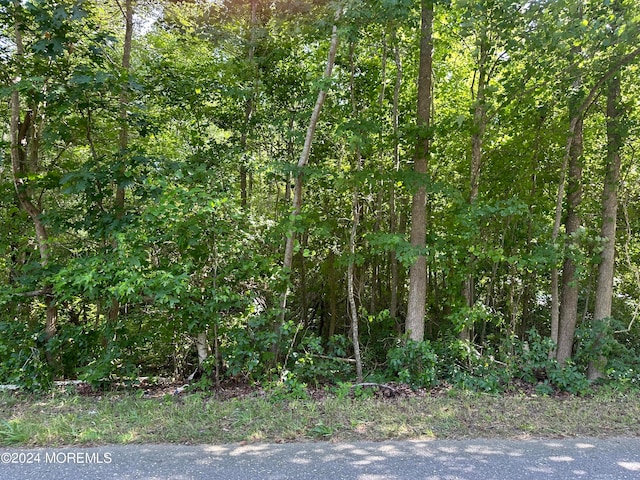 2183 Rte 88, Brick NJ, 08724 land for sale