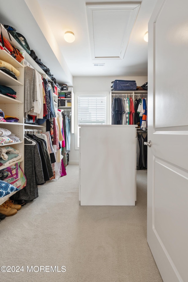 52 Seaview Ave, Long Branch, NJ 07740 - spacious closet with carpet flooring and attic access