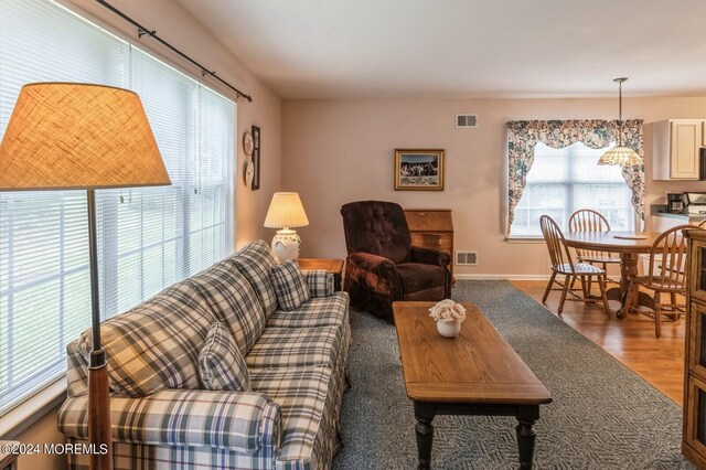 living room featuring a healthy amount of sunlight and dark hardwood / wood-style flooring