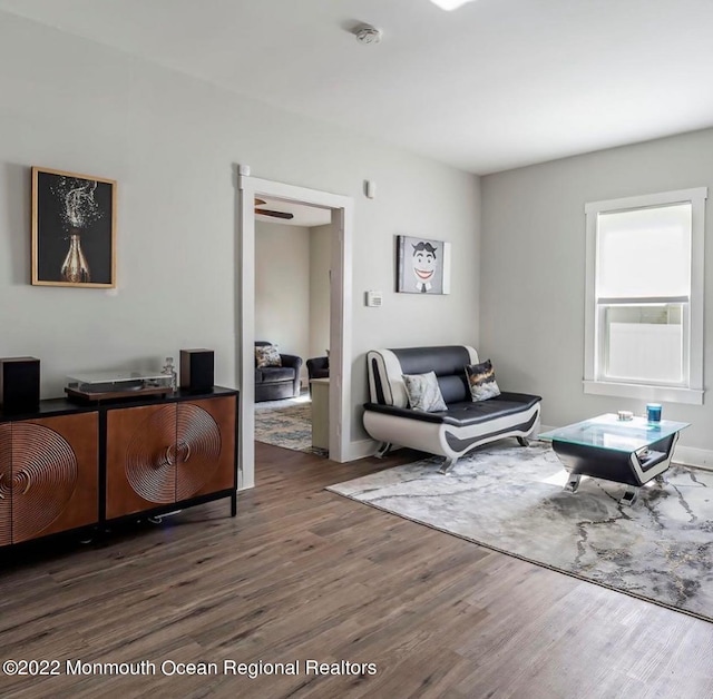 living room featuring dark hardwood / wood-style flooring