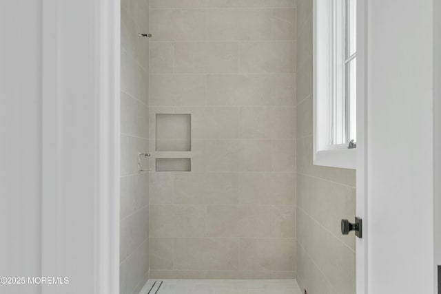 bathroom with a shower stall