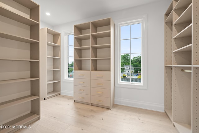 2 Deborah Pl, Oakhurst, NJ 07755 - walk in closet with light wood finished floors