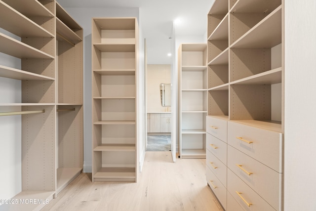 2 Deborah Pl, Oakhurst, NJ 07755 - spacious closet featuring light wood-style flooring