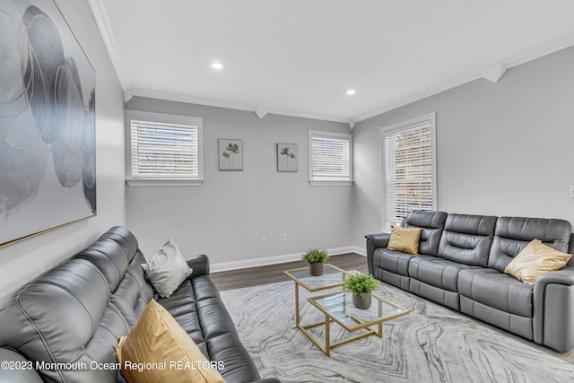 living room featuring crown molding and wood-type flooring