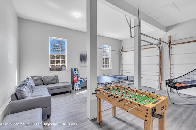 playroom with wood-type flooring