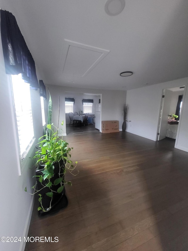 hallway with plenty of natural light and dark wood-type flooring