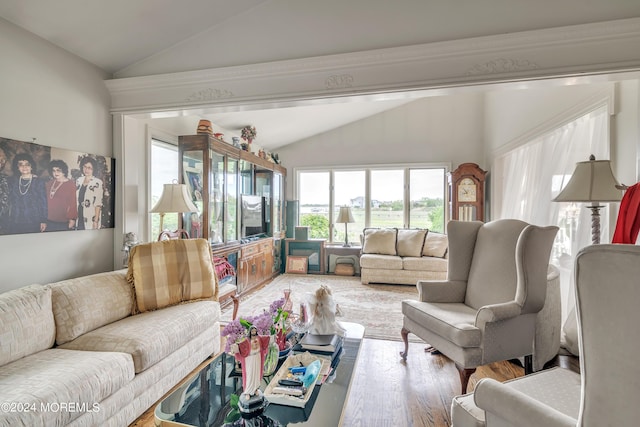 living room featuring vaulted ceiling and wood finished floors