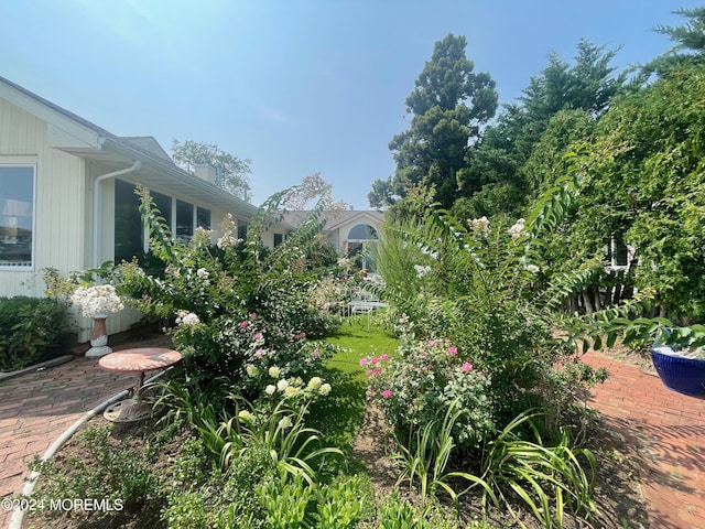 view of yard featuring a patio area