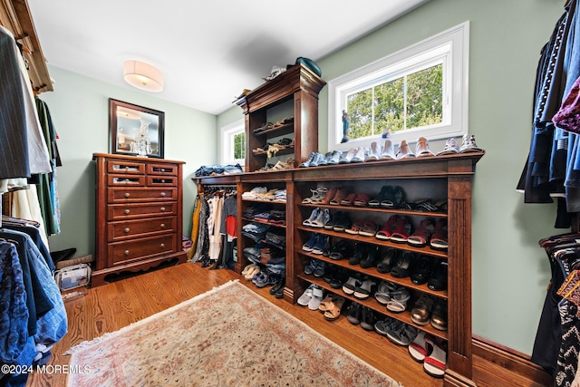 walk in closet featuring wood-type flooring