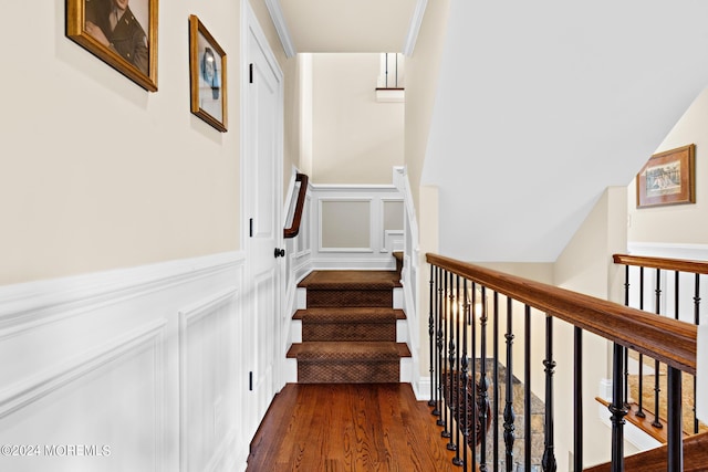 stairs with hardwood / wood-style floors