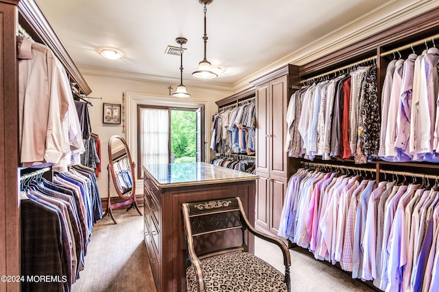 spacious closet with carpet floors