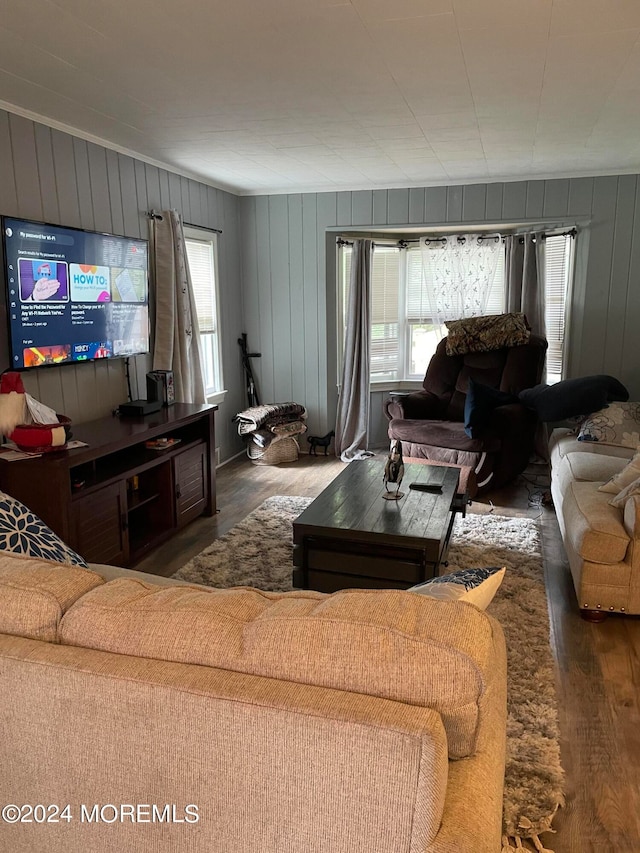 living room with wood walls and dark hardwood / wood-style flooring