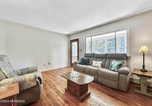 living room with hardwood / wood-style flooring