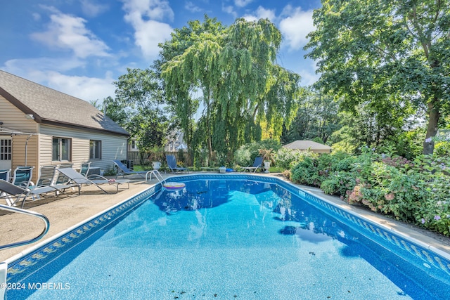 view of pool featuring a patio area