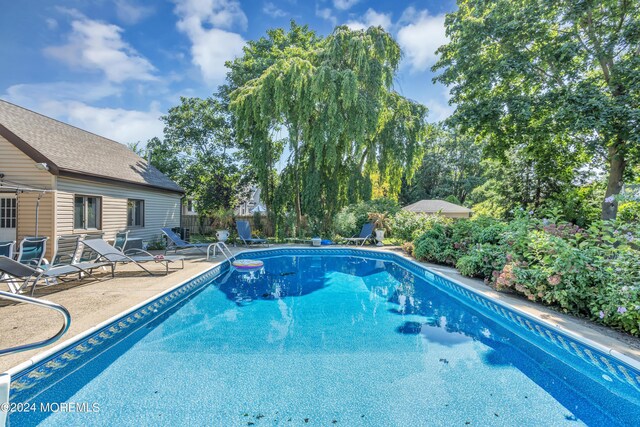 view of pool with a patio area