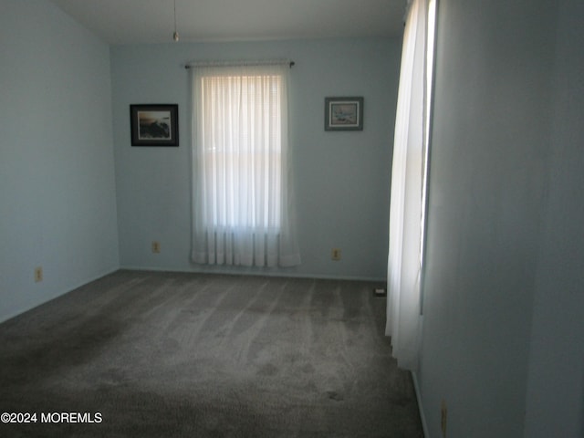 unfurnished room with carpet flooring