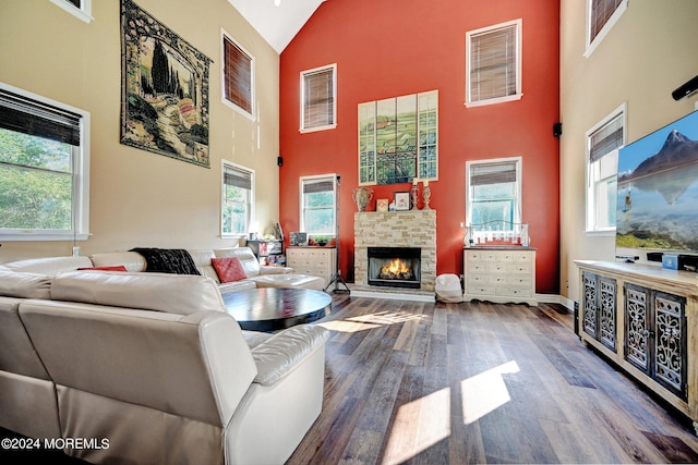 living room with high vaulted ceiling, a stone fireplace, wood finished floors, and a healthy amount of sunlight