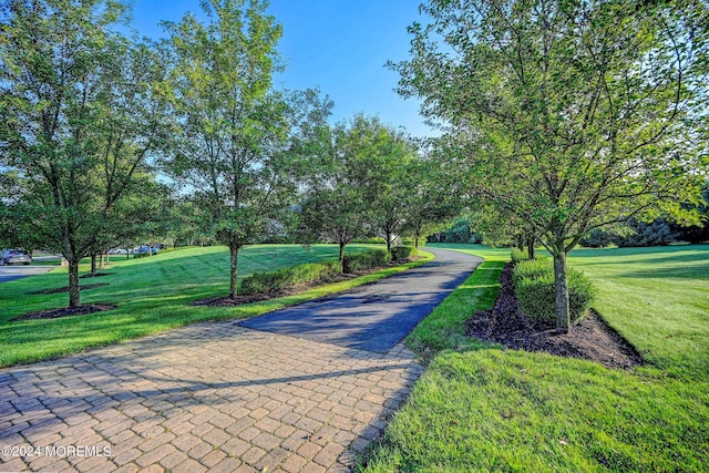 view of home's community with a yard