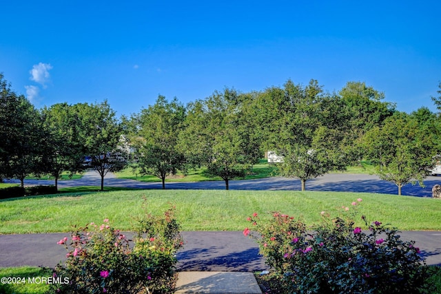 view of property's community with a yard