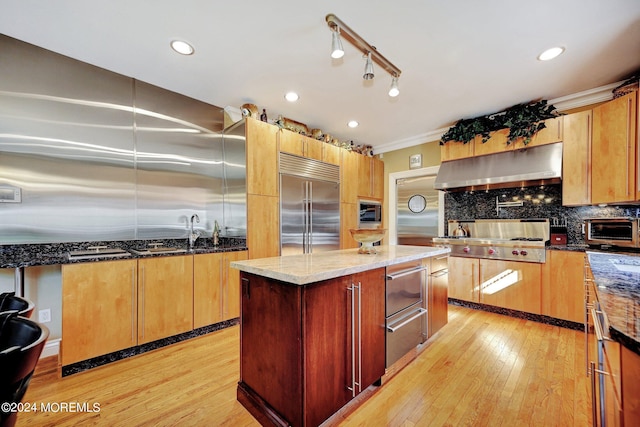 kitchen with light wood-style flooring, built in appliances, decorative backsplash, and exhaust hood