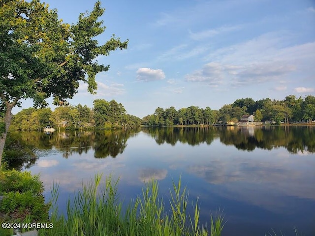 property view of water