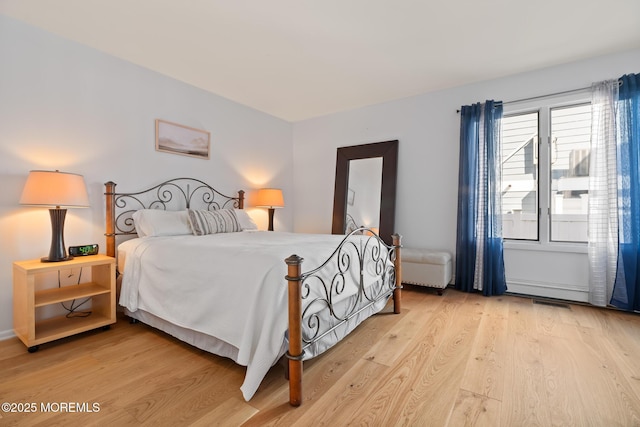 149 Valencia Dr, Brick, NJ 08723 - bedroom featuring light wood-type flooring