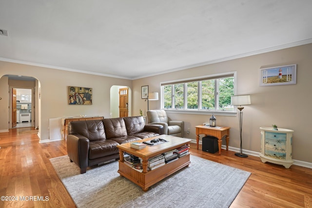 living room featuring crown molding and light hardwood / wood-style floors