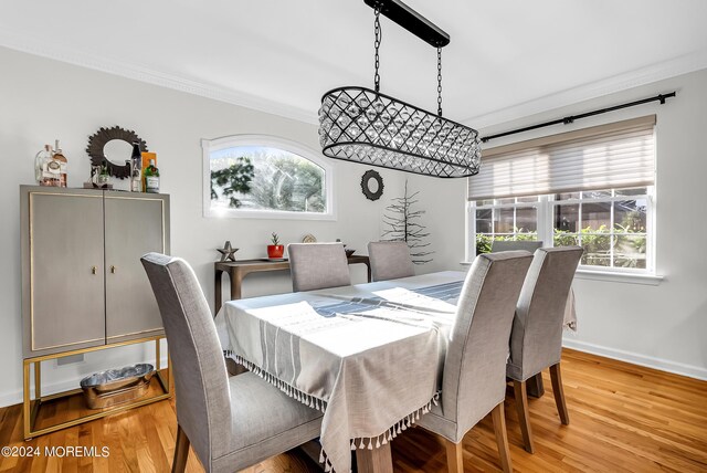 dining space featuring a healthy amount of sunlight, ornamental molding, and light hardwood / wood-style flooring