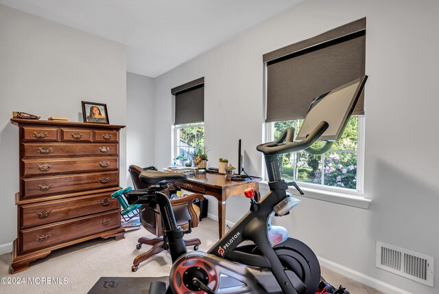 workout area with a wealth of natural light and carpet floors