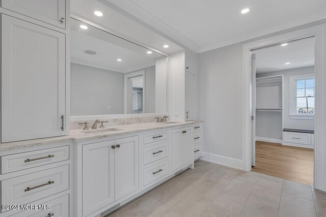 bathroom featuring wood-type flooring and vanity