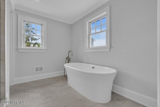 bathroom with a bath and a healthy amount of sunlight