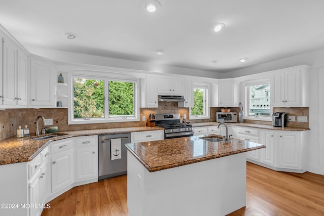 kitchen with light hardwood / wood-style flooring, stainless steel appliances, and sink