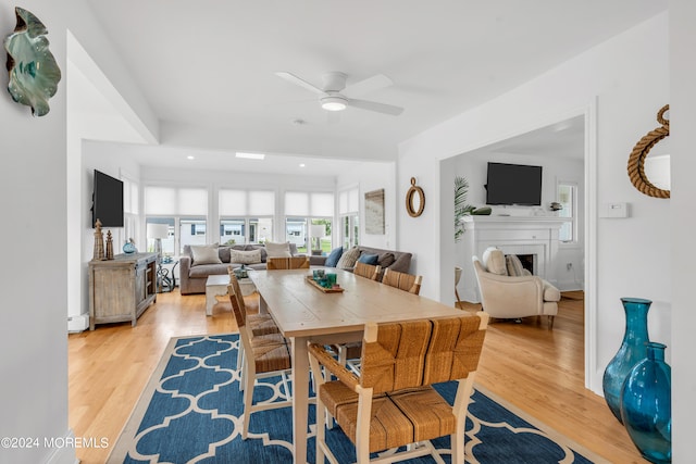 dining area featuring ceiling fan and light hardwood / wood-style floors