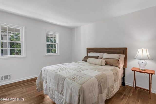 bedroom featuring dark wood-type flooring and multiple windows