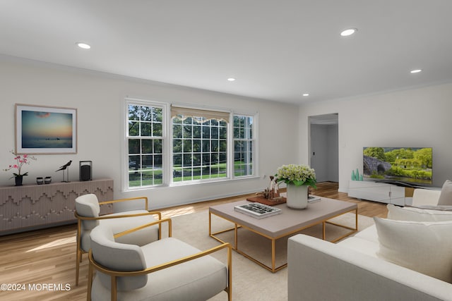 living room with crown molding and light hardwood / wood-style flooring