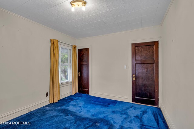 empty room featuring carpet floors and ornamental molding