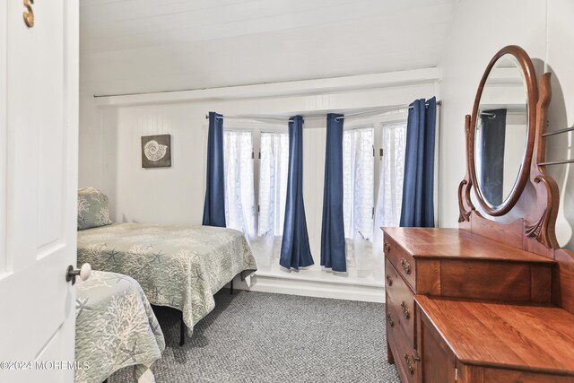 carpeted bedroom with multiple windows