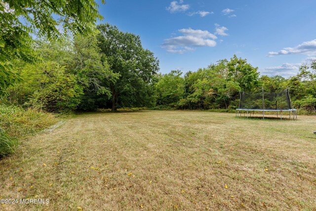 view of yard with a trampoline