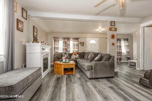 living room featuring hardwood / wood-style floors and ceiling fan