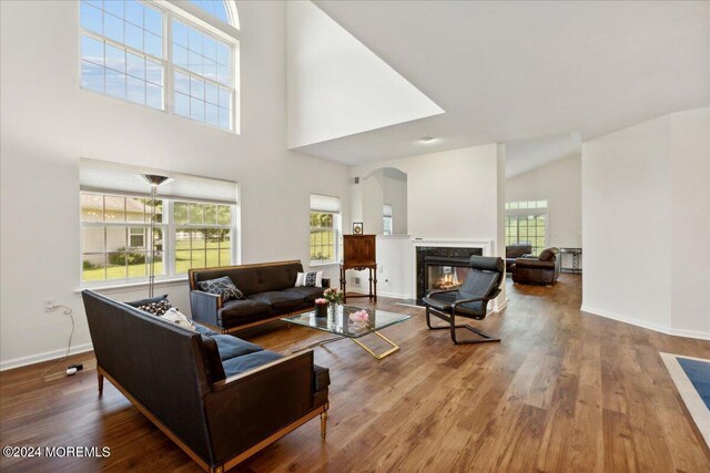 living room with high vaulted ceiling, hardwood / wood-style flooring, and a premium fireplace