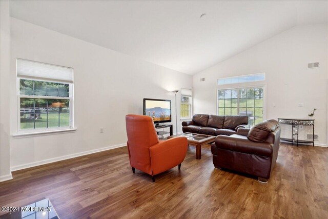 living room with lofted ceiling and dark hardwood / wood-style floors