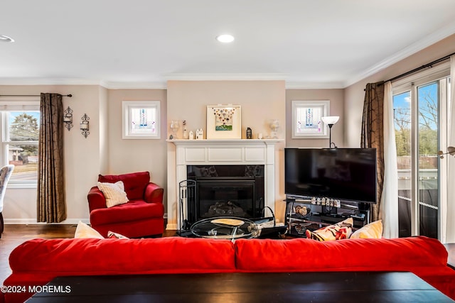 living area featuring wood finished floors, a healthy amount of sunlight, a fireplace, and crown molding